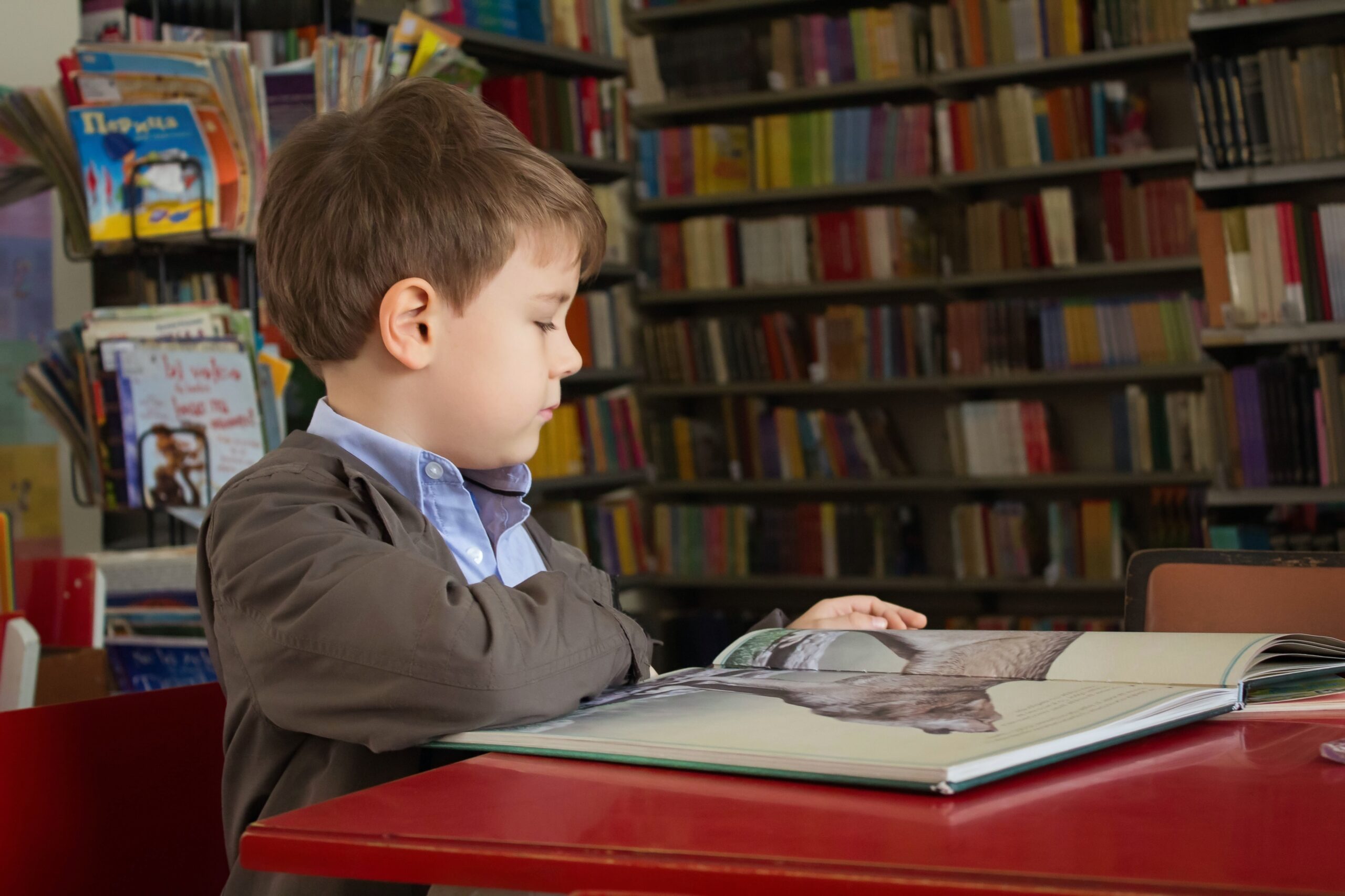 Obrazek przedstawiający chłopca siedzącego przy biurku czytającego książkę